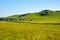 The buildings on the summertid grassland