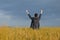 Buisnessmen in a wheat field