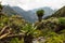 Bujuku valley, Rwenzori Mountains National Park