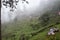 Bukit Larut is one of tourist attraction in Taiping can be reached by 4x4 ride with serene foggy environment weather.