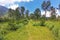 Bukit and top grass, Bogor, Indonesia