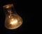 Bulb on black background