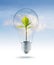 Bulb light with money green tree inside on sky blue cloud background