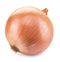 Bulb onion.