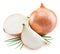 Bulb onion and green onions on a white background.