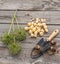 Bulbs Allium aflatunense on a wooden background