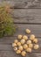 Bulbs Allium aflatunense on a wooden background