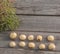 Bulbs Allium aflatunense on a wooden background