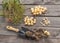 Bulbs Allium aflatunense on a wooden background