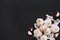 Bulbs and cloves of garlic on a black background. Spices and condiments. Food background. Copy space.