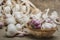 Bulbs and cloves of natural organic garlic on a linen mat and in a homemade basket