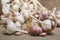 Bulbs and cloves of natural organic garlic on a linen mat and in a homemade basket