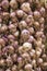 Bulbs of garlic and onions hanging outside a store in Cuba