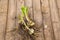 Bulbs Lilium candidum on a wooden background.