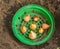 Bulbs of tulips in a basket for planting bulbs in the flowerbe