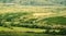 Bulgaria beautiful colorful meadow landscape, summertime, mountain train. Bulgarian narrow-gauge railway train.