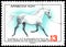 BULGARIA - CIRCA 1980: a stamp, printed in Bulgaria, shows a Arabian horse