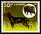 BULGARIA - CIRCA 1985: A stamp printed in Bulgaria shows Bulgarian Scenthound, Wild Boar Sus scrofa