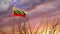 Bulgaria sunrise flag waving dramatic video - video animation