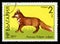 Bulgaria `Wildlife` series postage stamp, 1977