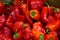 Bulgarian pepper. Selling bell peppers at a farm fair