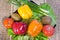 Bulgarian sweet pepper, cucumbers and leaves