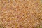 Bulgur grain close up background