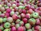 Bulk Apples in Bin. Ripe sweet red apples. Fresh organic apples from above for sale. Close-up. Full frame