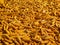 Bulk dried corn, fodder corn, corn image used as background and illustrative articles