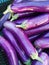 A bulk fresh eggplant display