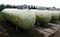 Bulk gas storage tanks in protective compound.