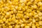 Bulk of yellow corn grains texture.