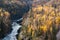 Bulkley River - Colorful Aspen and Spruce Tops