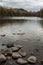 Bulkley River Fall Colors