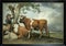 The bull, 1647 by famous Dutch Golden Age painter Paulus Potter, framed