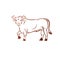 Bull ancient emblem animal element. Heraldic vector design element. Retro style label, heraldry logo.
