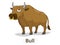 Bull animal cartoon illustration for children