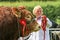 A bull being shown at a county show