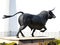 Bull bust in Ronda city, Spain