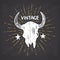 Bull or cow skull, animal head graphic print. T-shirt typography design. Vector illustration on chalkboard background