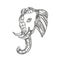 Bull Elephant Head Doodle Art