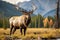 Bull Elk in Yellowstone National Park, Wyoming, USA. Big male, ellowstone National Park, Bull Elk near Mammoth, AI Generated