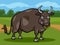 Bull farm animal cartoon illustration