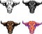 Bull, figures, vector, color, black and white image