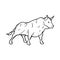 Bull hand drawn animal with big strong horns, outline illustration image. Simple animal logo symbol decoration.