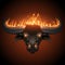 Bull head in fire