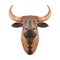 bull head statue for wall decoration on white