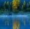 Bull Moose Feeding In Lake