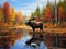 Bull Moose grazing in autumn in Algonquin Park