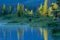 Bull Moose Standing At The Edge Of Lake